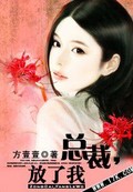 总裁,放了我