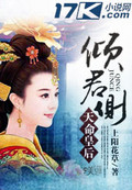 天命皇后:倾君侧